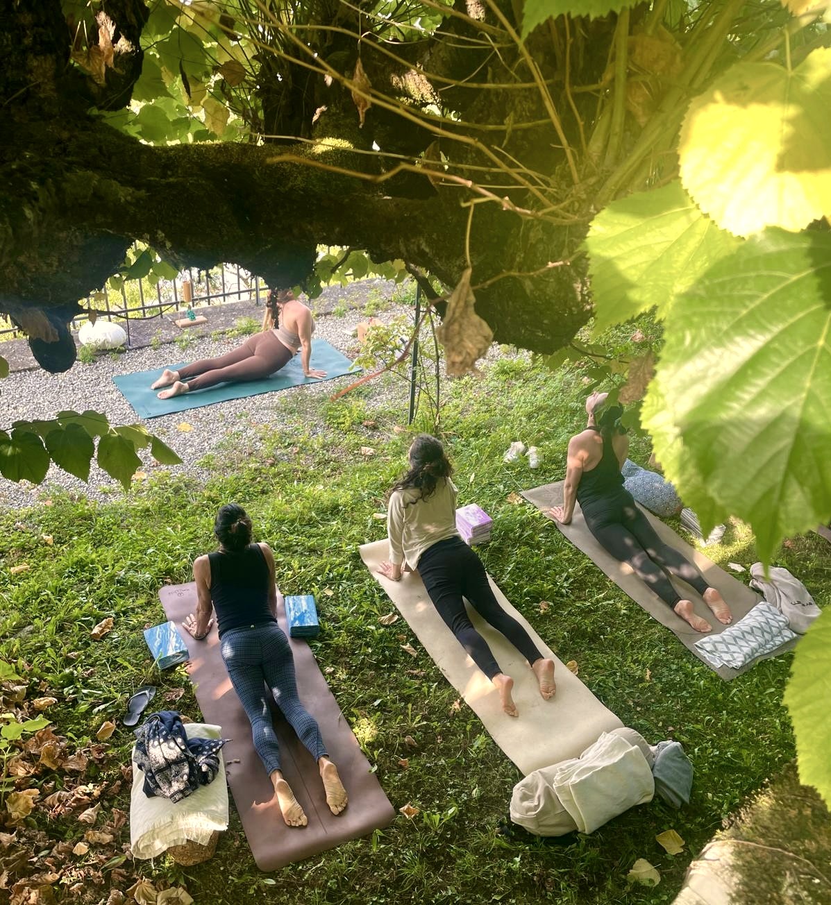 Outdoor yoga class among the vines above Montreux